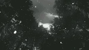 Meet your Posher, Lilliana